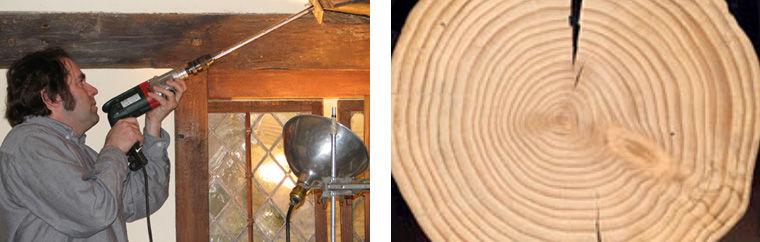 Man taking a boring from the summer beam of the Hart Room and a photo showing a cross section of rings in a tree