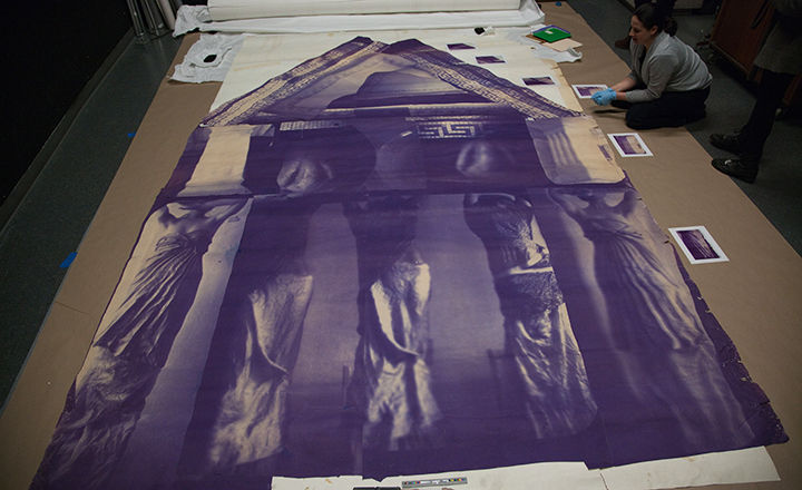 An image of an oversized purple-hued diazotype print rolled out on the floor, with a conservator seated at the top right, on the floor, next to the print.