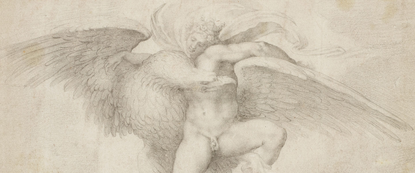 Detail view of Michelangelo's drawing 'Rape of Ganymede,' showing a shepherd boy struggling against an attack by an eagle