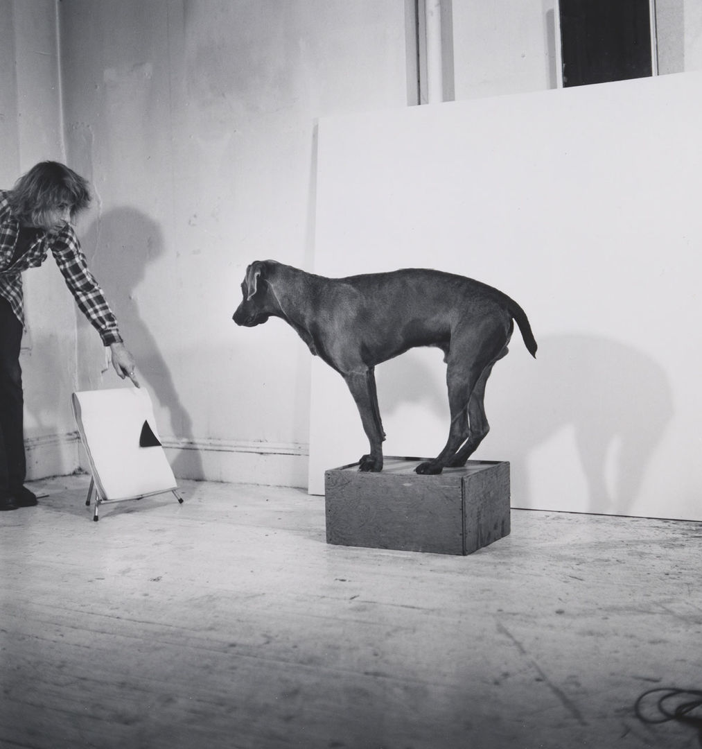 before on after william wegman and california tickets to print for free