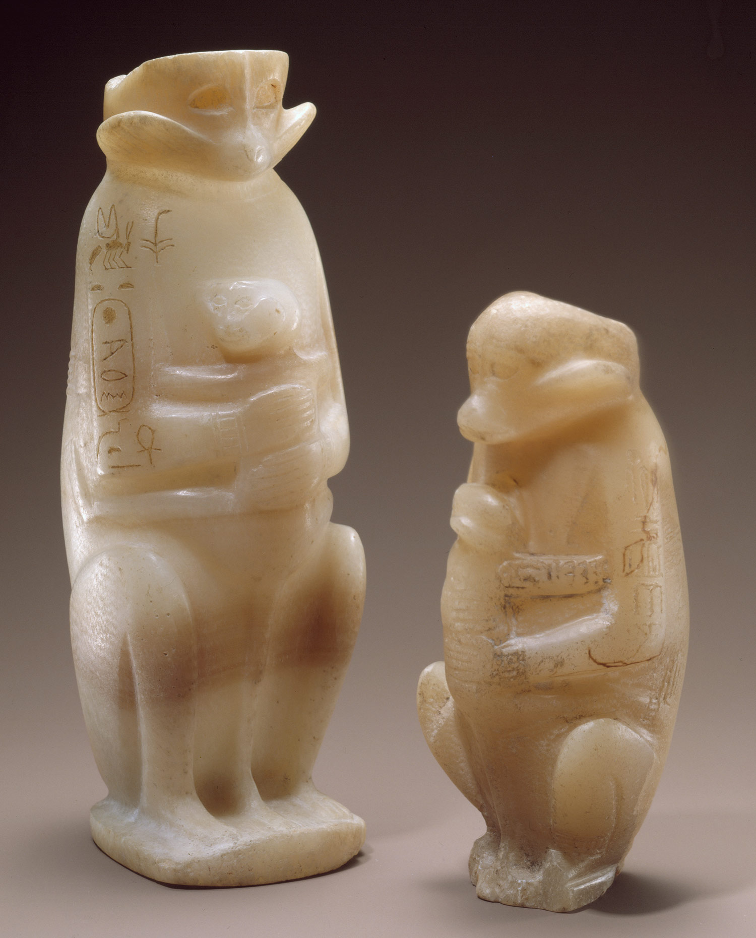 Egyptian Monkey