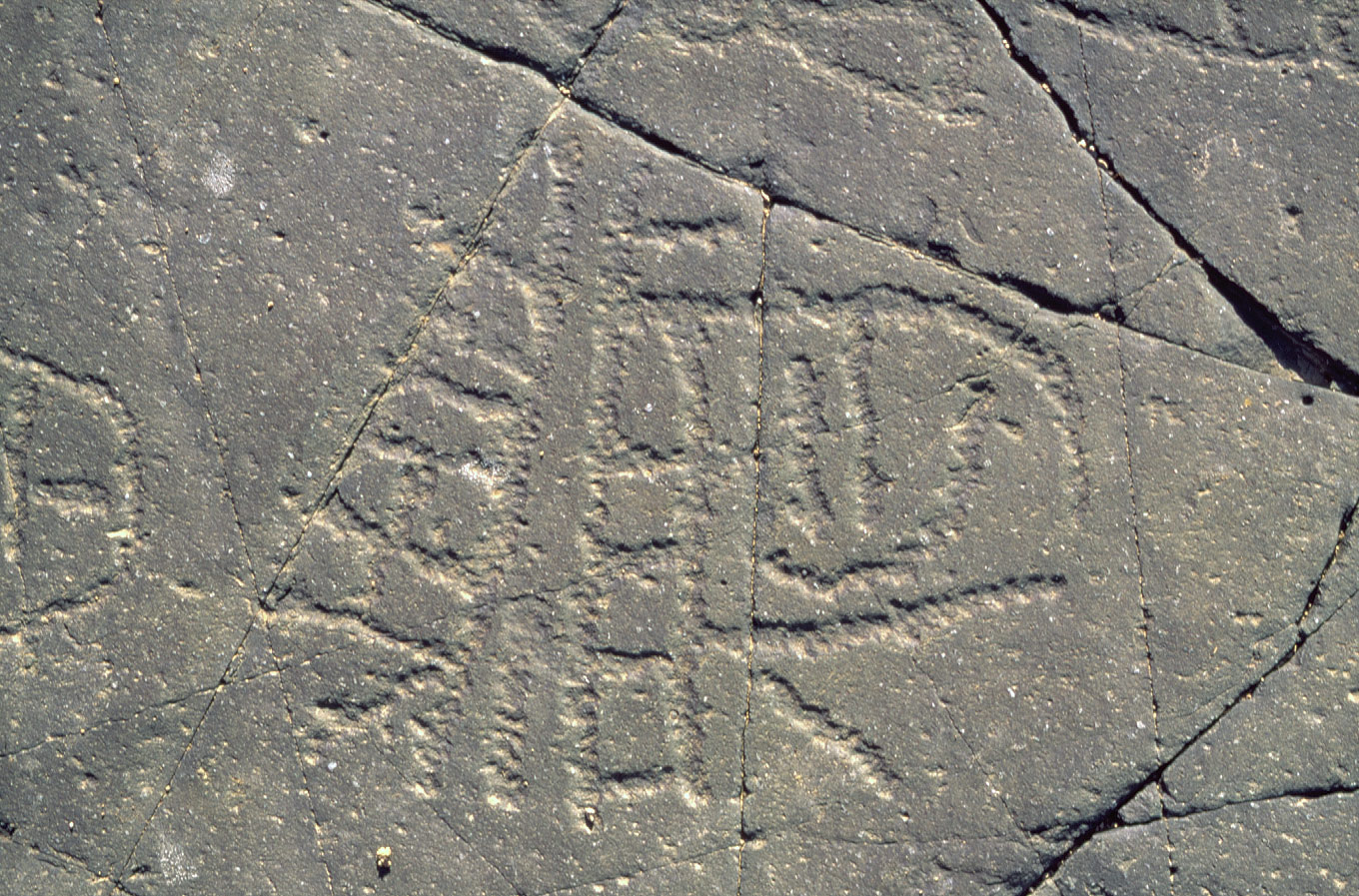Rock Engraving
