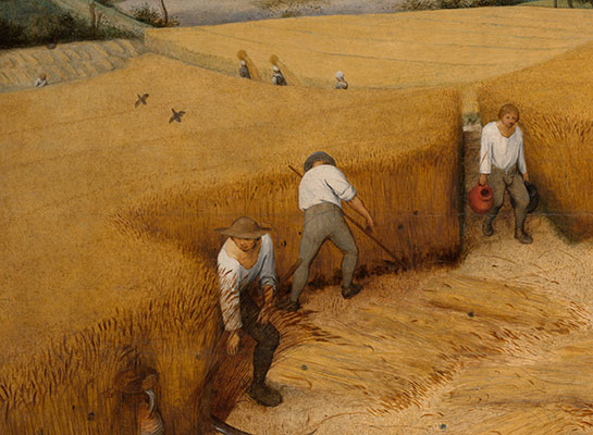 The harvester restaurant image