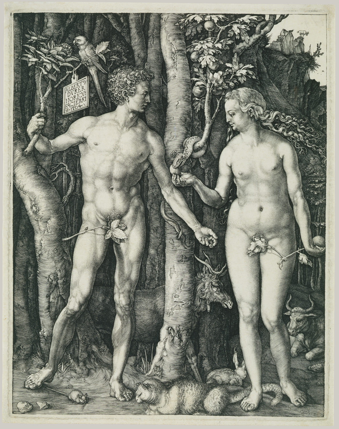 Adam and Eve, 1504. Albrecht Dürer (German, 1471–1528) Engraving