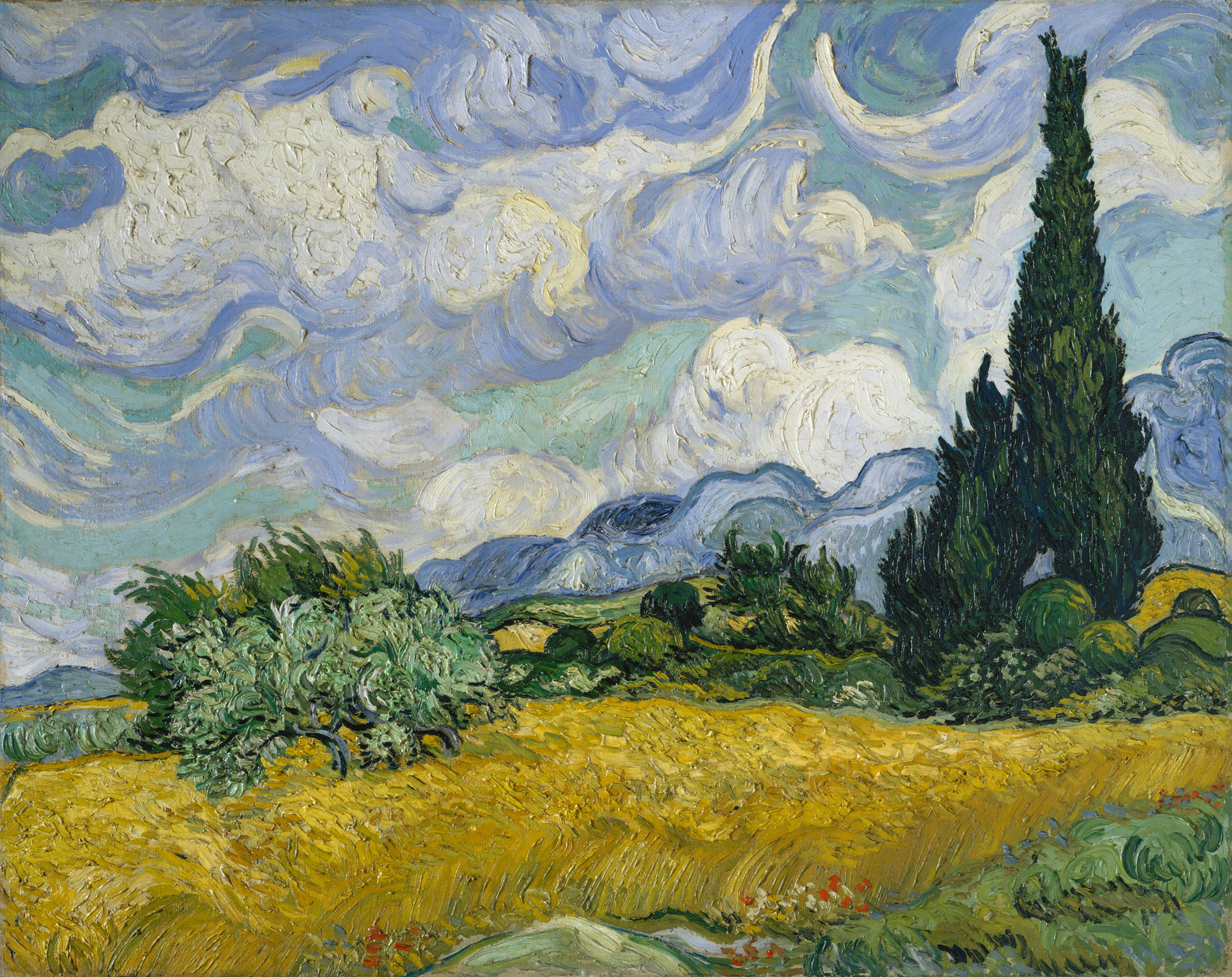 Van Gogh Essay