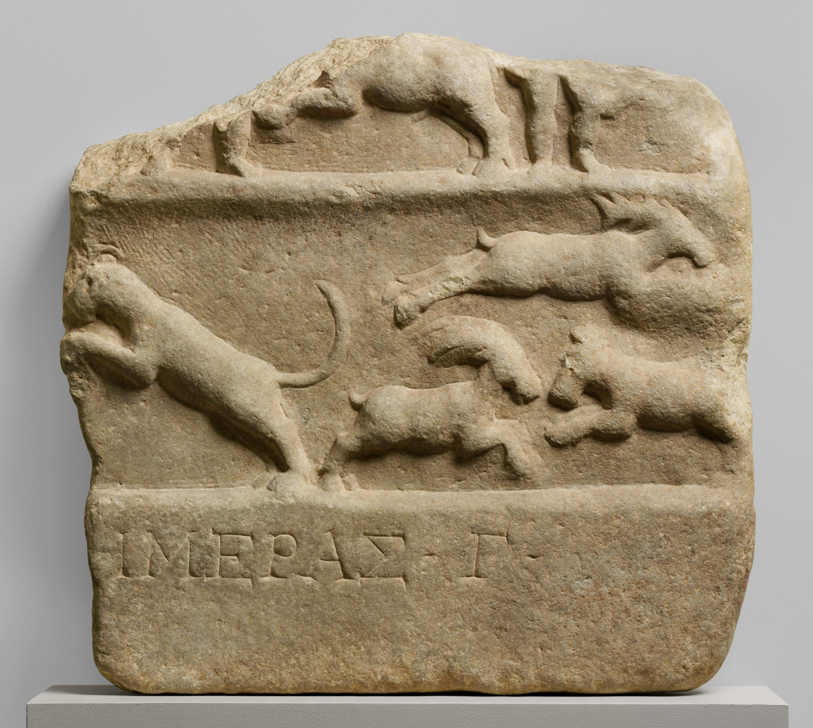 Marble relief fragment