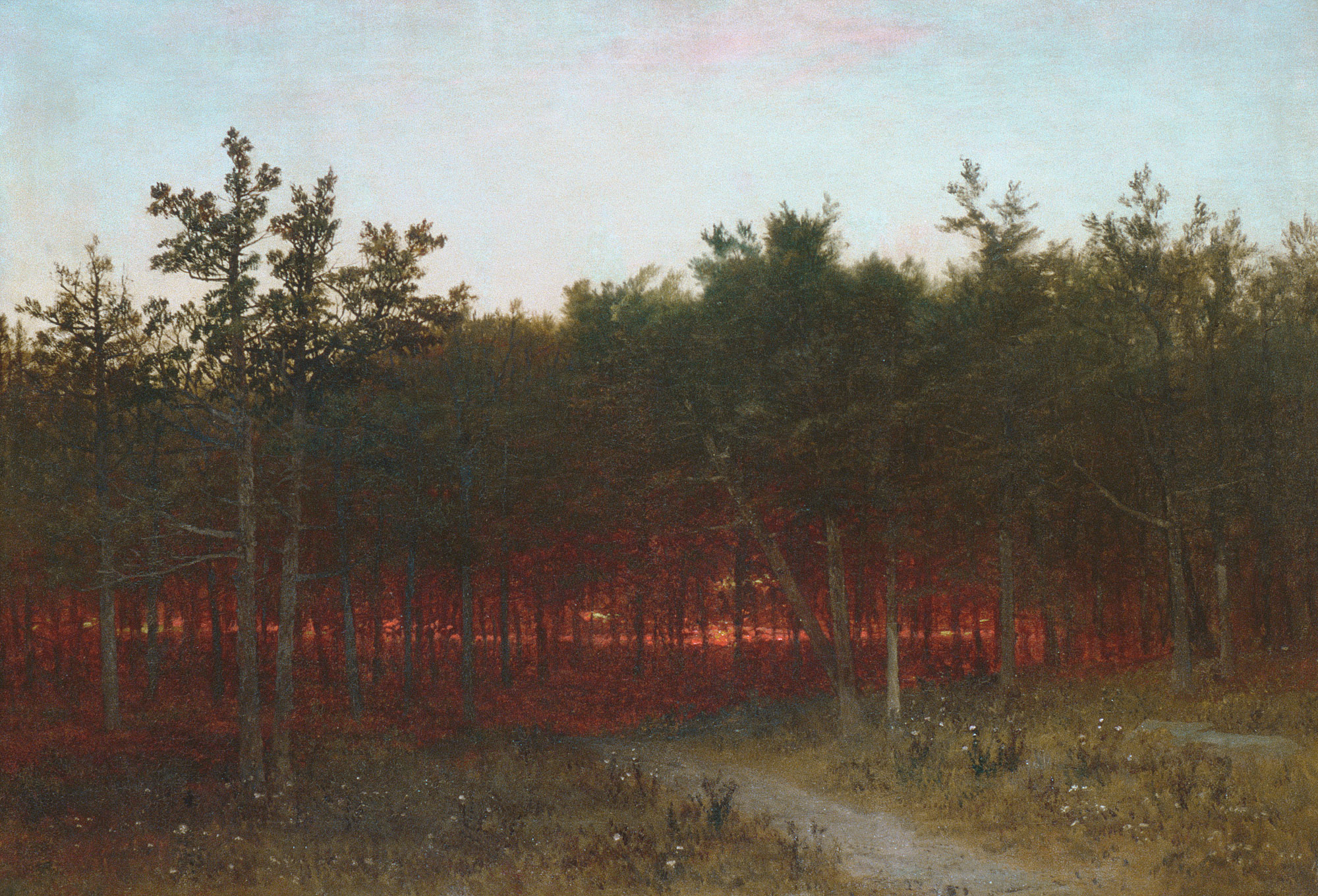 Thomas cole essay on american scenery