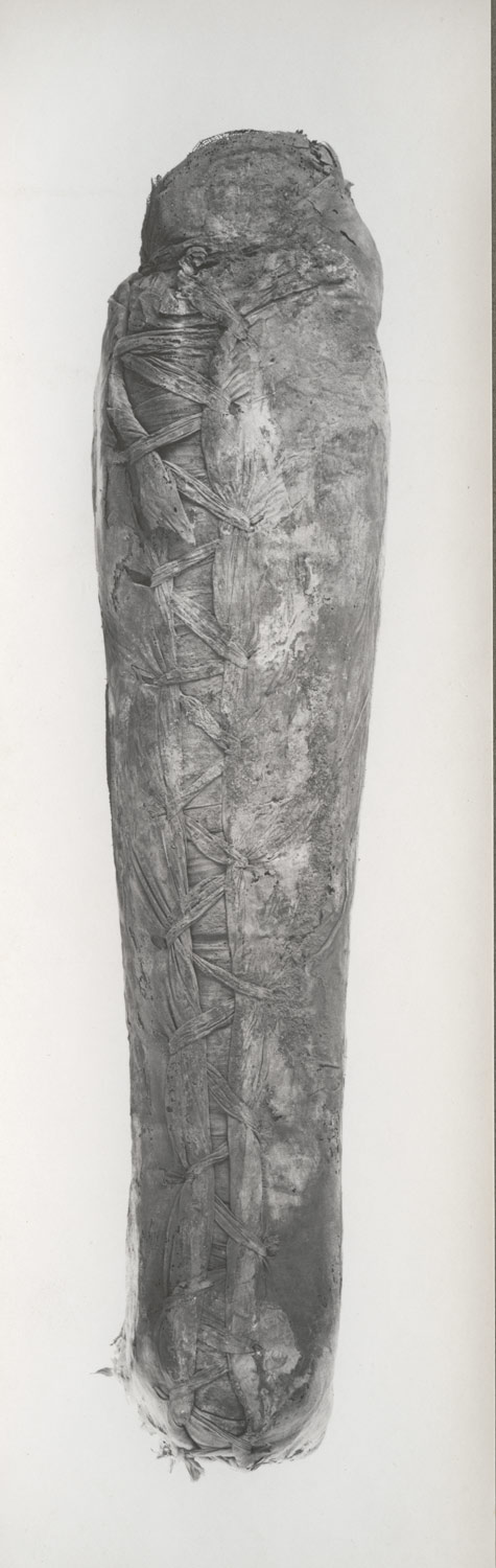 Unwrapping of a Mummy Hb_M16C106,107_av3