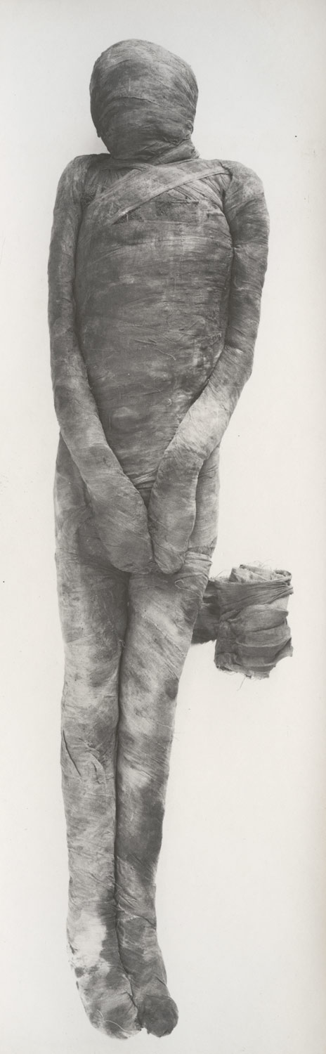 Unwrapping of a Mummy Hb_M16C106,107_av4