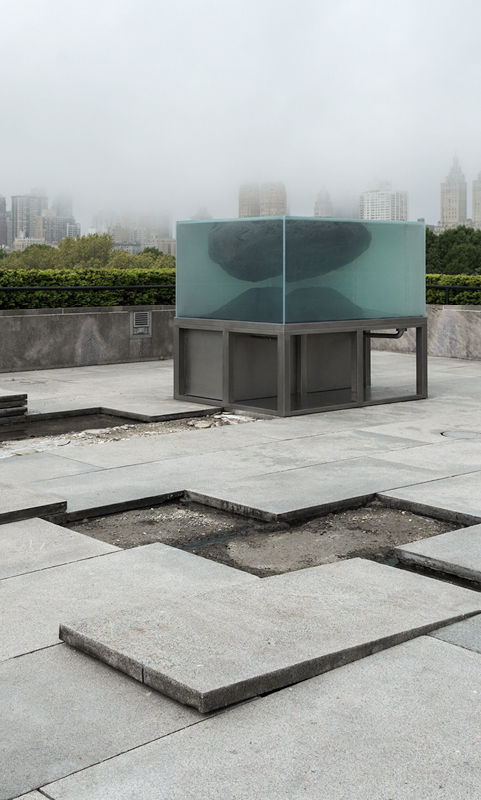 The Roof Garden Commission: Pierre Huyghe