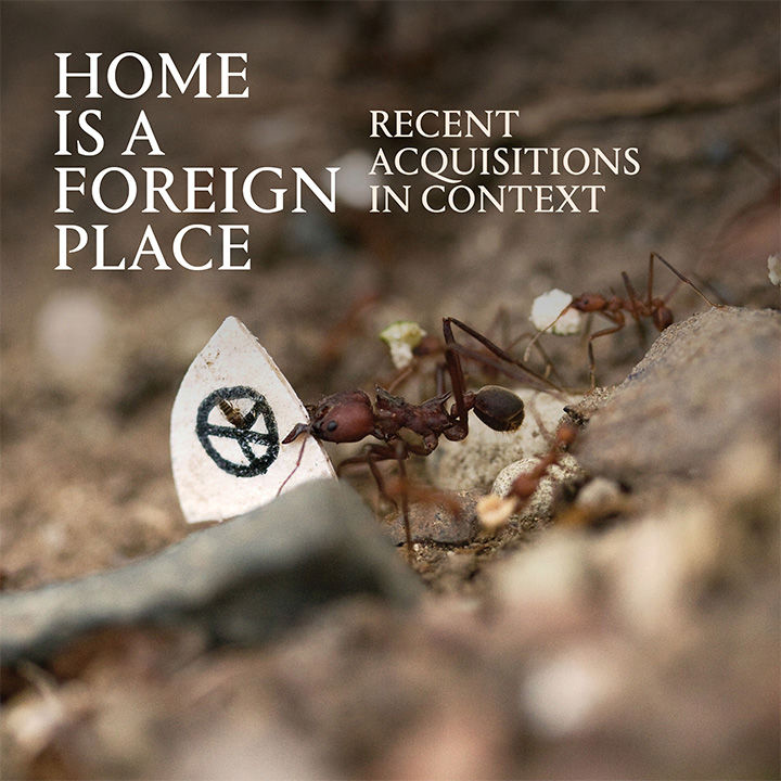 Photograph of an ant holding a small white flag within a blurred-out brown landscape; the following overlay text appears "Home is a Foreign Place Recent Acquisitions In Context"