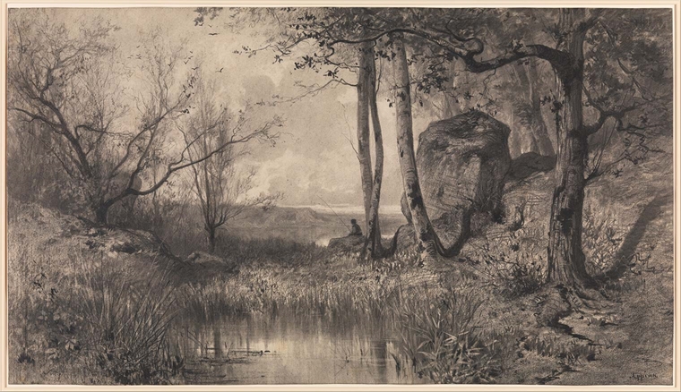 A detailed, realistic drawing of a meadow in the woods with trees, rocks and water. In the distance, a boy is fishing in the center of the image.
