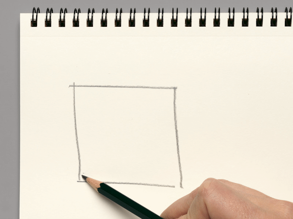 graphite pencil drawings