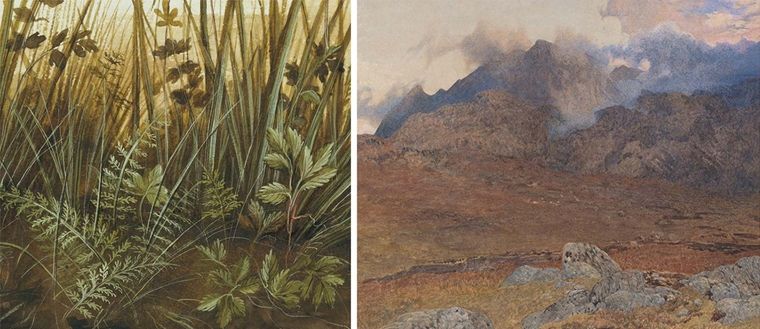 Left: a detailed watercolor image of thick green weeds and grasses. Right: A barren, rocky landscape stretching into the distance rendered in watercolor.