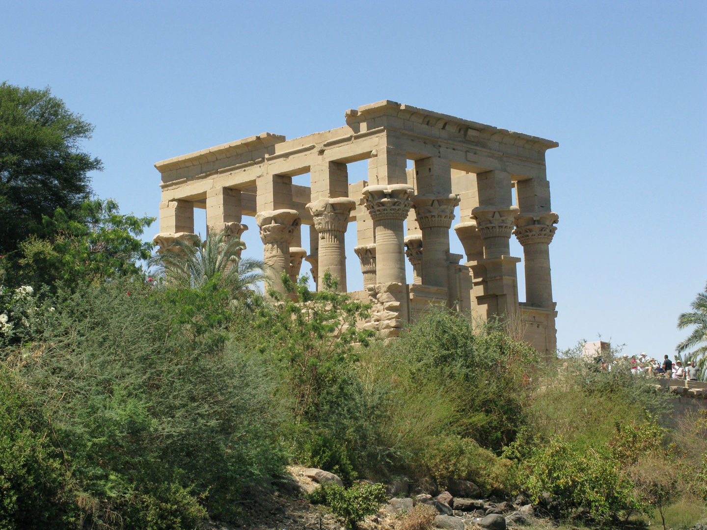 A light open pavilion covered by foliage on Philae Island probably built by the Emperor Augustus (30–14 B.C.). 