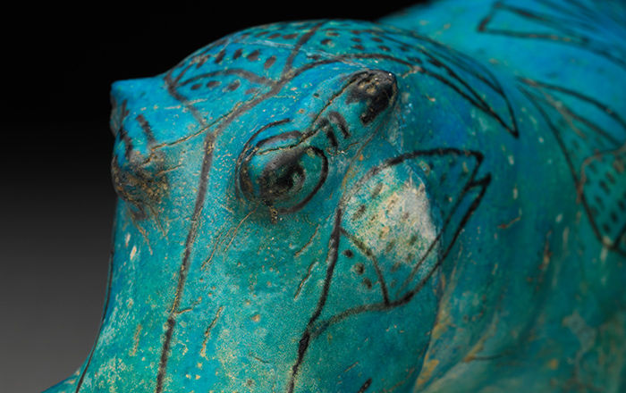Three-quarter view of blue hippo's head with close-up of eyes