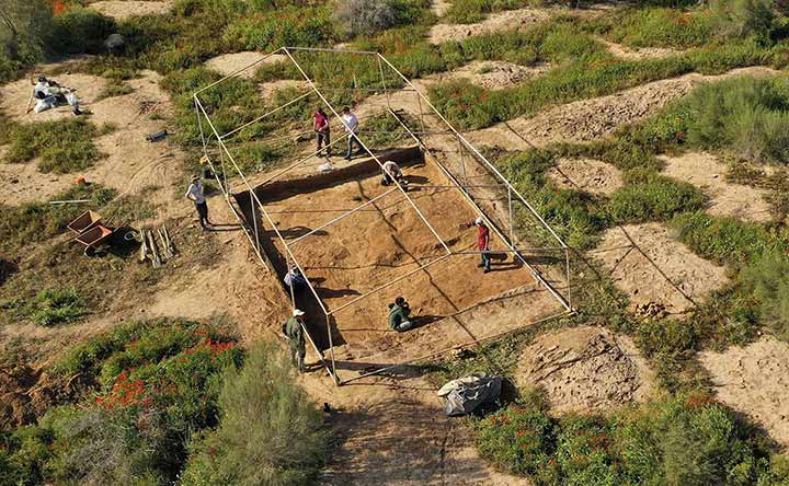 Aerial view of dig site