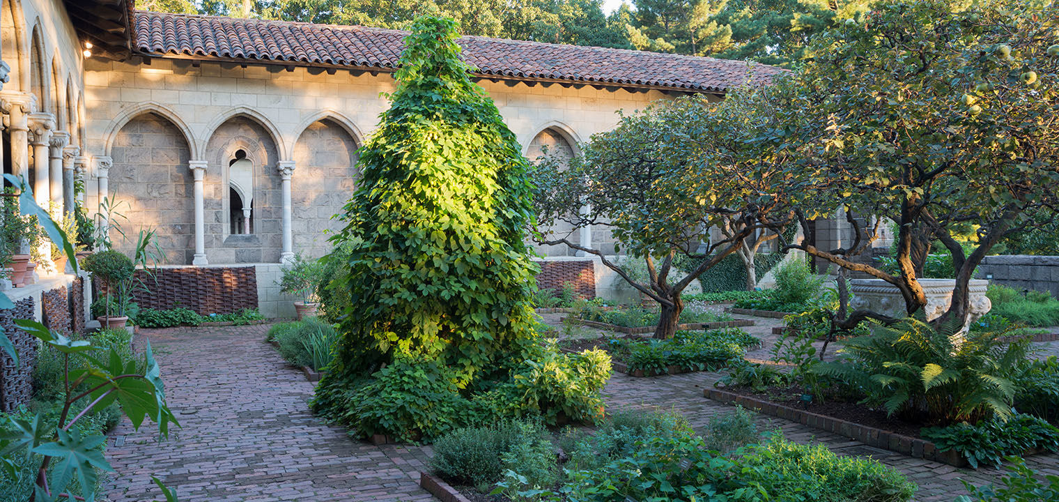 A garden courtyard laid out in brick paths that form a gridded passage around various small plant beds of low-lying plants and some trees
