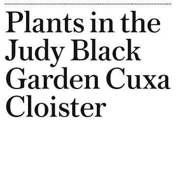 "Plants in the Judy Black Garden Cuxa Cloister"