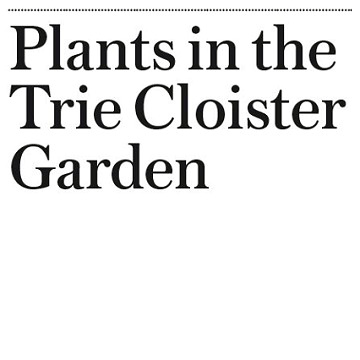 "Plants in the Trie Cloister Garden"