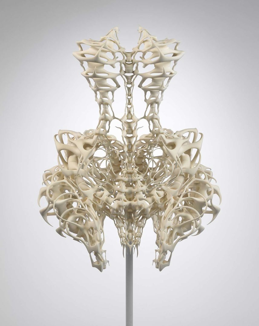iris van herpen skeleton dress