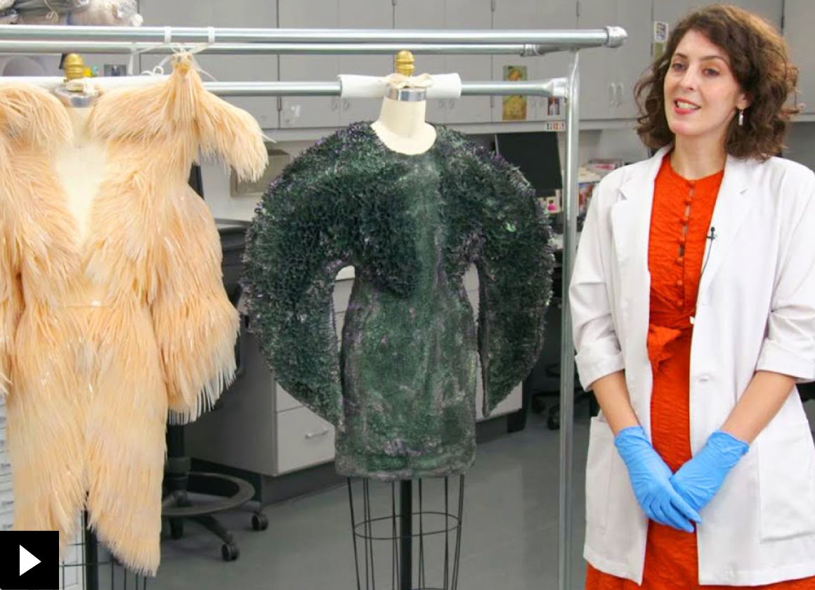 The conservator Sarah Scaturro stands to the right of two dresses by Iris Van Herpen mounted on dress forms; there is a small play button icon in the bottom left-hand corner