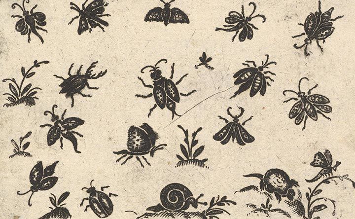 Georg Herman's "Small Motifs of Insects and Plants" from 1596; a blackwork engraving of various bugs and insects