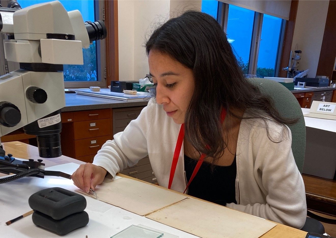 What do preprogram interns do in Paper Conservation? The