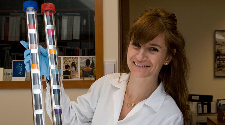 A conservator of photographs holds up two tall glass tubes with autochrome samples.