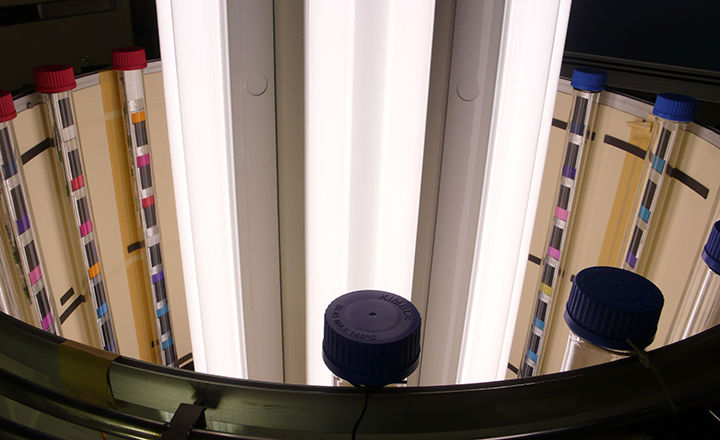 Tall glass tubes with autochrome samples placed around the perimeter of a bin, with light tubes in the center, as part of an experiment.