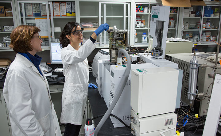 Two Scientific Research scientists at work in the lab