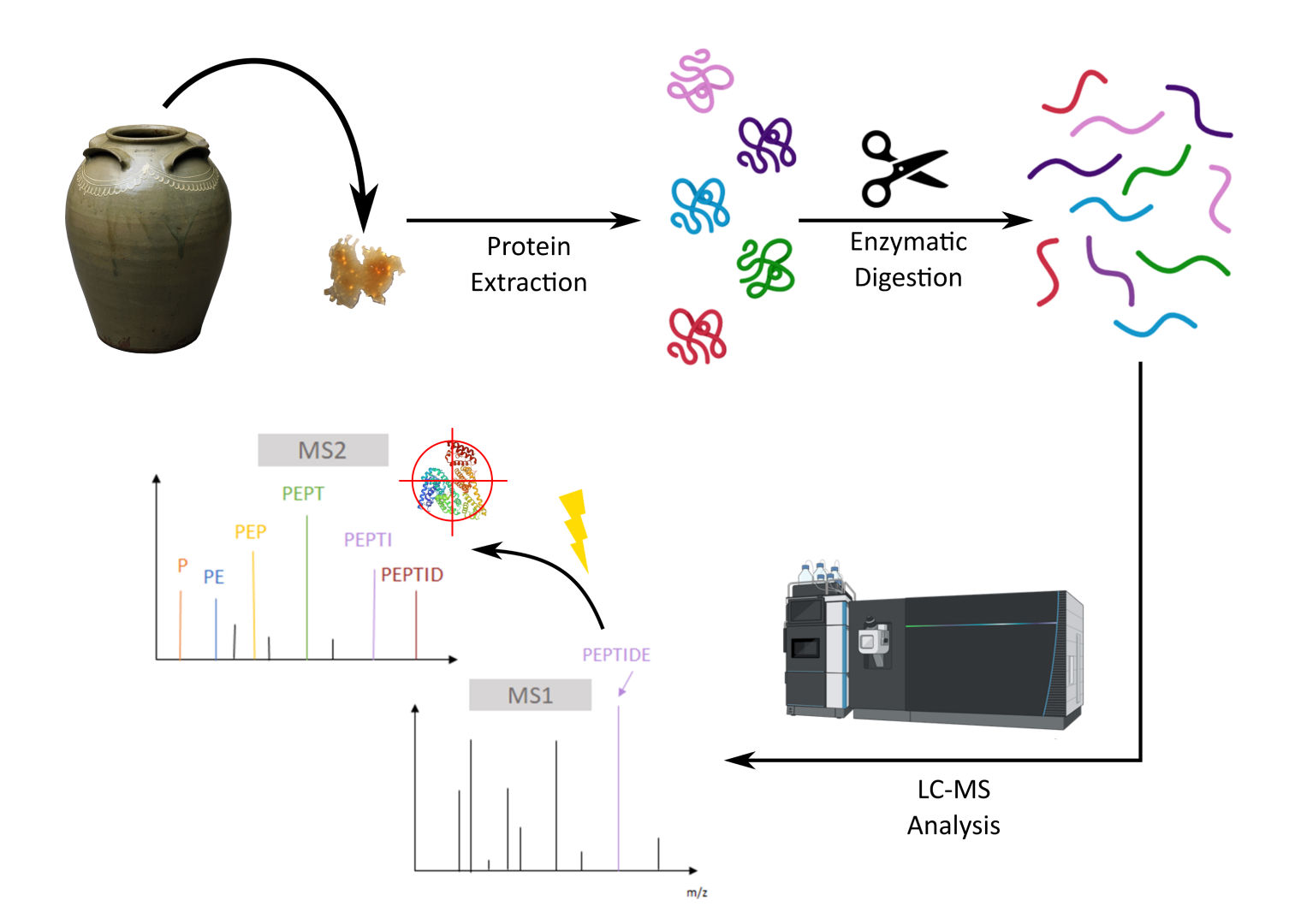 A flow-chart diagram illustrates how residue samples collected from a jar are broken down through protein extraction and enzymatic digestion and then analyzed by a machine that sequences sampled residue proteins for further identification.