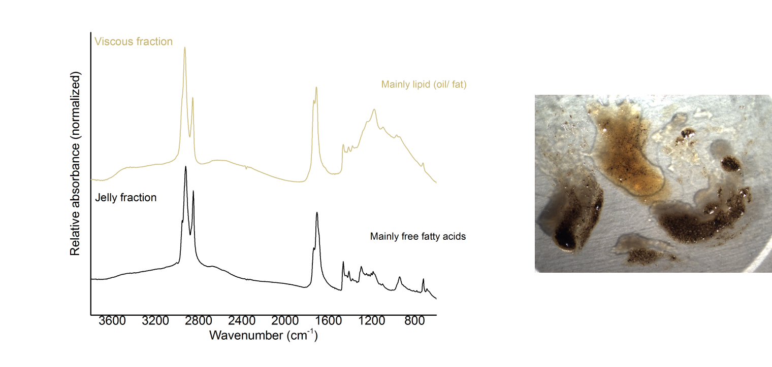 Composition image: on the left a graph charts the relationship between wavelength number (x) and relative absorbance (y) for viscous and jelly fractions, and on the right a close-up photograph shows a sample of dark and light brown residues collected from a jar.