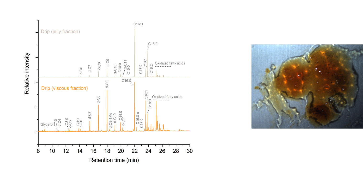 The Inside (and Outside) Scoop Scientific Analysis of Food Residues