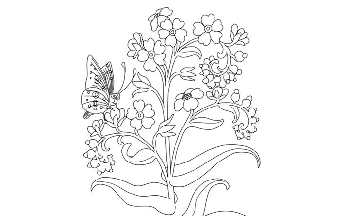 Line drawing of a flowering plant and a butterfly