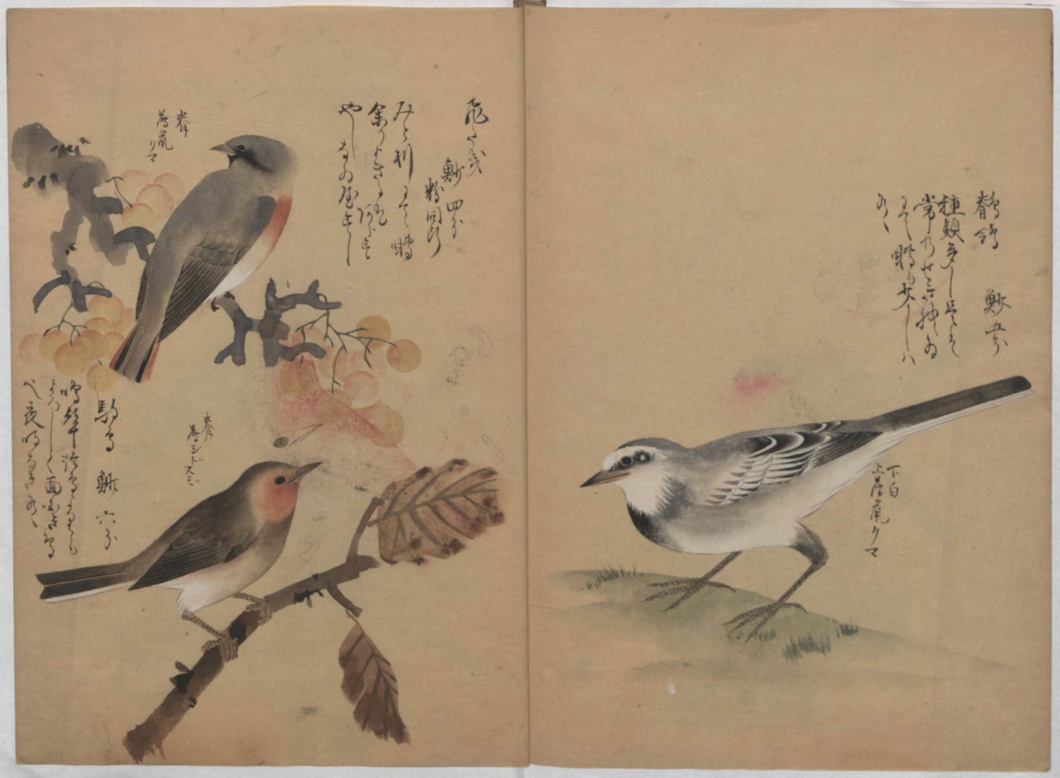 Japanese Art Books