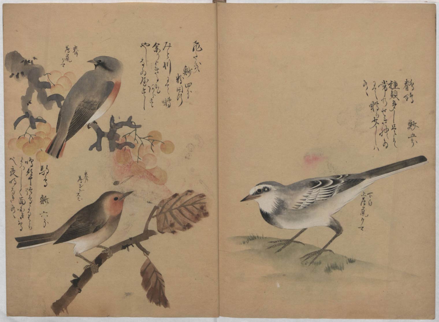 Japanese Illustrated Books  The Metropolitan Museum of Art