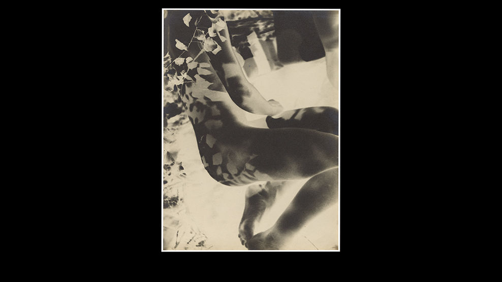  László Moholy-Nagy (American, born Hungary, 1895–1946). Nude (Negative), 1927–29. Gelatin silver print, 15 3/4 x 11 1/2 in. (40 x 29.2 cm). <br />Promised Gift of Ann Tenenbaum and Thomas H. Lee