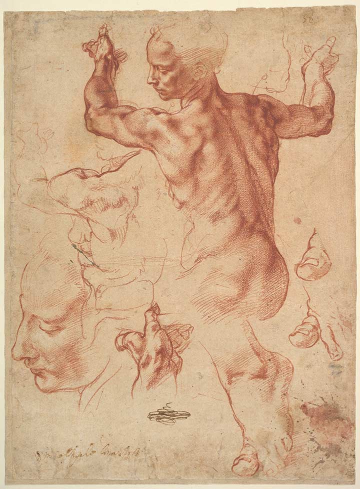 Studies for the Libyan Sibyl, Michelangelo Buonarroti
