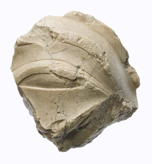Fig. 1. Fragment of right eye and brow from head of king or queen, ca. 1353–1336 B.C. New Kingdom, Amarna Period, Dynasty 18. Indurated limestone; H. 9.1 x D. 7.5 cm. The Metropolitan Museum of Art, New York, Purchase, Fletcher Fund and The Guide Foundation Inc. Gift, 1966 (66.99.107)