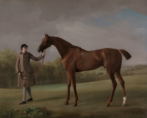 Elegant and Exact: George Stubbs's The Anatomy of the Horse | The  Metropolitan Museum of Art