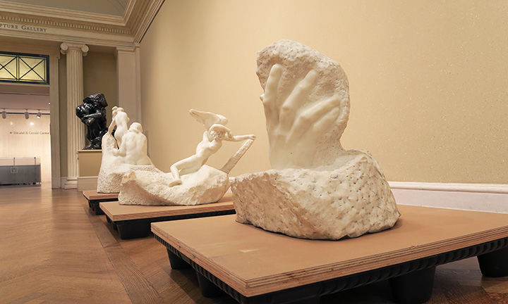 Rodin's hand sculptures diagnosed as part of exhibit