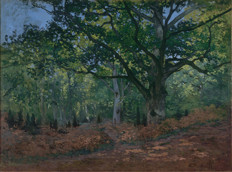 Oil painting by Claude Monet depicting an oak tree in Paris's Fontainebleau Forest