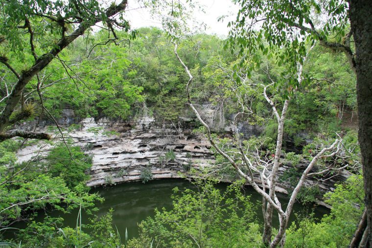 View of the Sacred Cenote at Chichen Itza, a sinkhole situated in a verdant forest