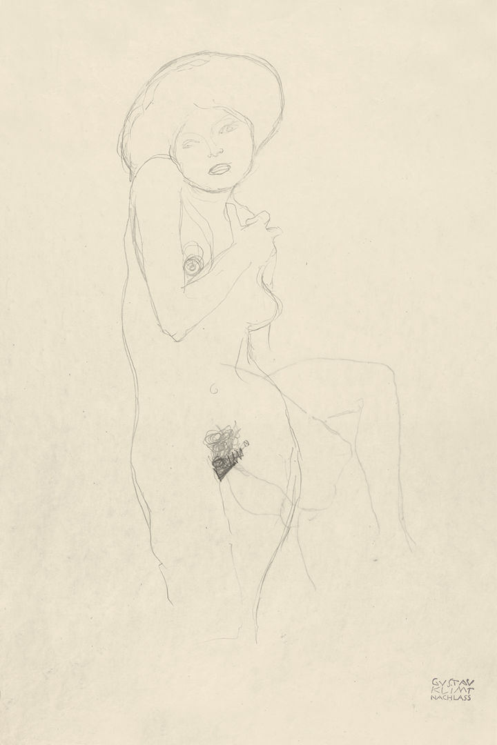 A Poet and Publishers Obsession with Nudes by Klimt, Schiele, and Picasso The Metropolitan Museum of image