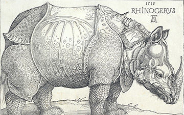 Etching of the side-view of a rhinoceros, by Albrecht Durer.