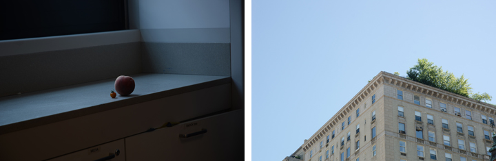 An image of a nectarine in shaded light next to an image of a building corner