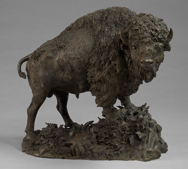Henry Merwin Shrady. Buffalo, 1899