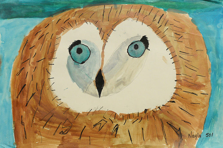 Blue-eyed Owl