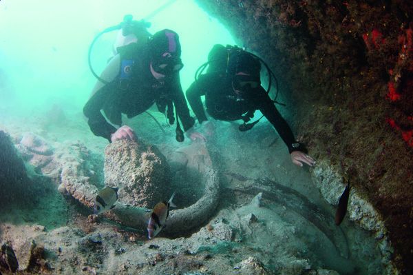 Archaeologists Mark Polzer and Juan Pinedo with two ivory tusks. © Institute of Nautical Archaeology, College Station, Texas. Photograph by Patrick Baker, 2010
